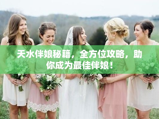 天水伴娘秘籍，全方位攻略，助你成为最佳伴娘！