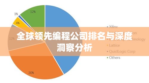 全球领先编程公司排名与深度洞察分析