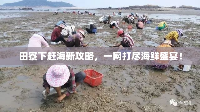 田寮下赶海新攻略，一网打尽海鲜盛宴！