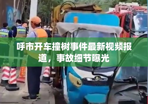 呼市开车撞树事件最新视频报道，事故细节曝光