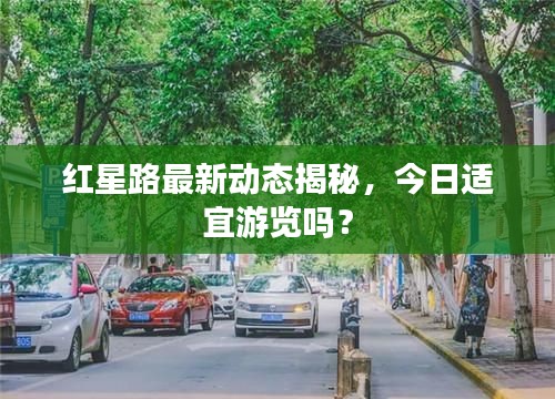 红星路最新动态揭秘，今日适宜游览吗？