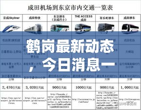 鹤岗最新动态，今日消息一网打尽！