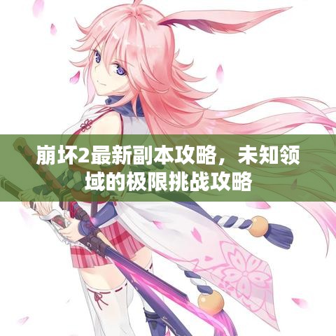 崩坏2最新副本攻略，未知领域的极限挑战攻略