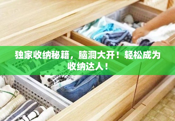 独家收纳秘籍，脑洞大开！轻松成为收纳达人！