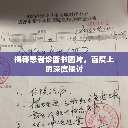 揭秘患者诊断书图片，百度上的深度探讨