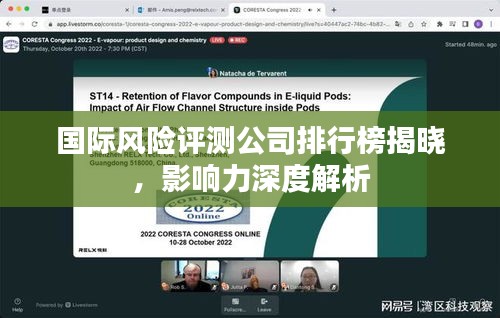 国际风险评测公司排行榜揭晓，影响力深度解析