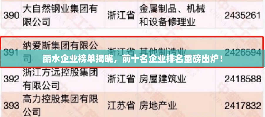丽水企业榜单揭晓，前十名企业排名重磅出炉！