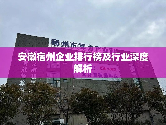 安徽宿州企业排行榜及行业深度解析