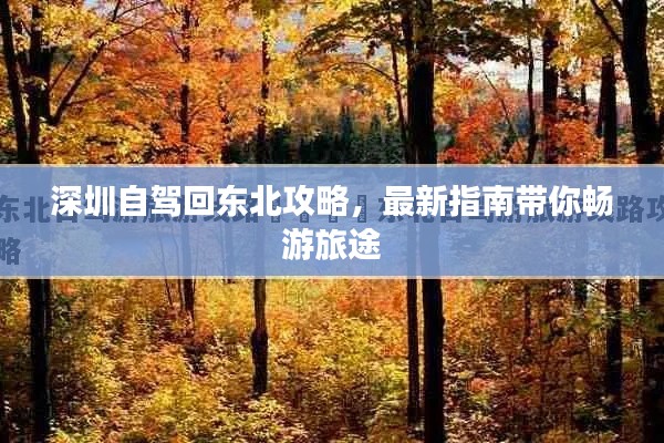 深圳自驾回东北攻略，最新指南带你畅游旅途