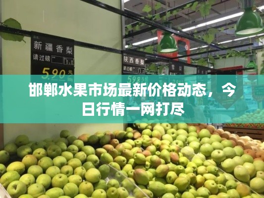 邯郸水果市场最新价格动态，今日行情一网打尽