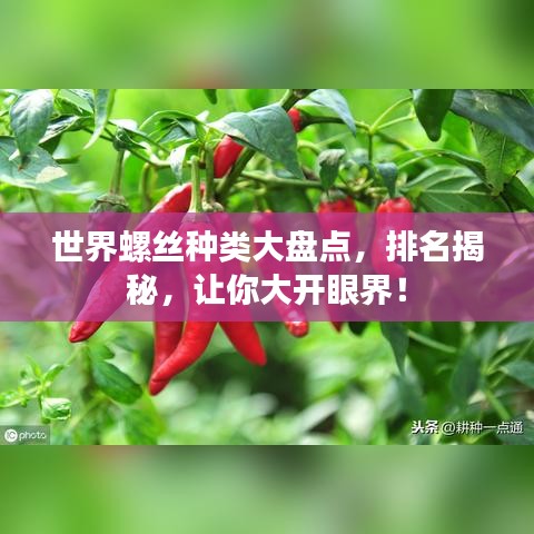 世界螺丝种类大盘点，排名揭秘，让你大开眼界！