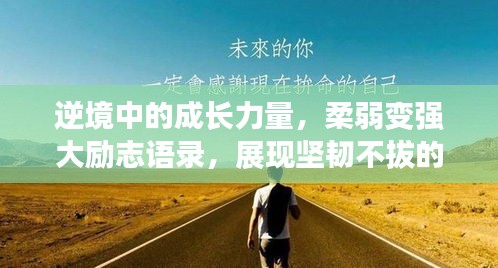 逆境中的成长力量，柔弱变强大励志语录，展现坚韧不拔的力量