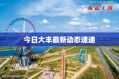 今日大丰最新动态速递