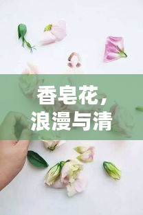 香皂花，浪漫与清洁的优雅融合