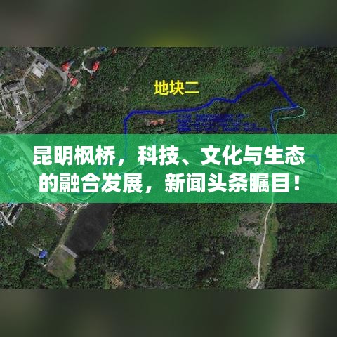昆明枫桥，科技、文化与生态的融合发展，新闻头条瞩目！