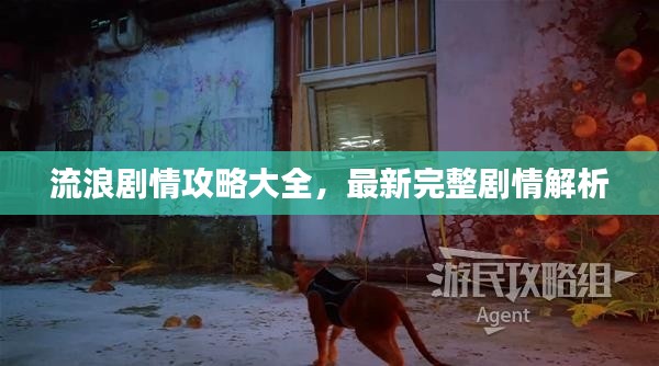 流浪剧情攻略大全，最新完整剧情解析