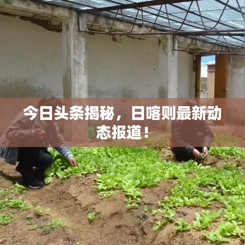 今日头条揭秘，日喀则最新动态报道！