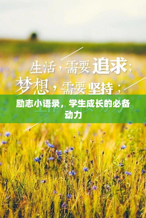 励志小语录，学生成长的必备动力