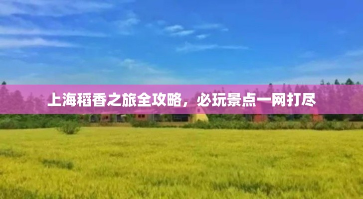 上海稻香之旅全攻略，必玩景点一网打尽
