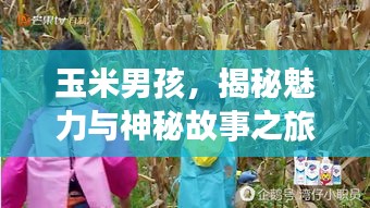 玉米男孩，揭秘魅力与神秘故事之旅