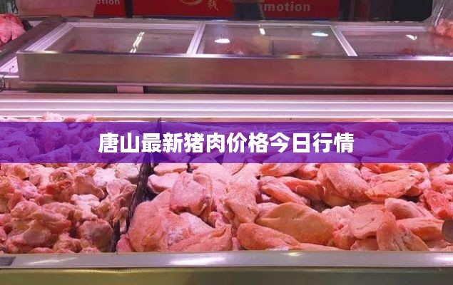 唐山最新猪肉价格今日行情
