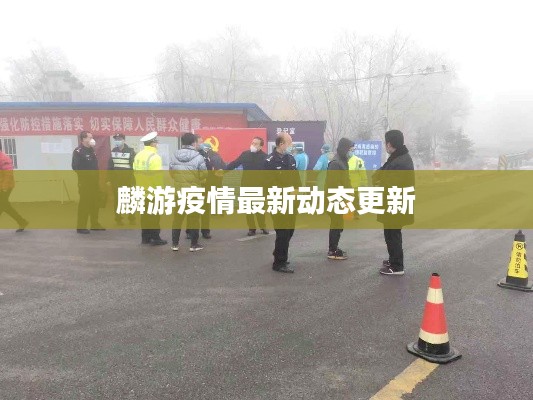 麟游疫情最新动态更新