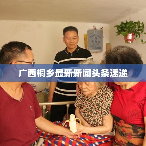 广西桐乡最新新闻头条速递
