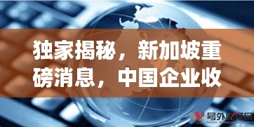 独家揭秘，新加坡重磅消息，中国企业收购新进展！