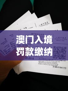 澳门入境罚款缴纳标准最新解读与指南
