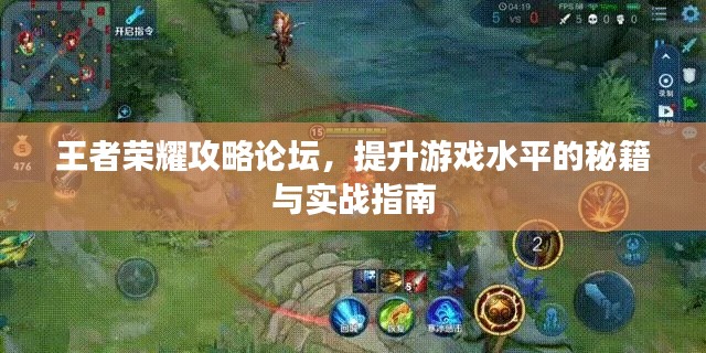 王者荣耀攻略论坛，提升游戏水平的秘籍与实战指南