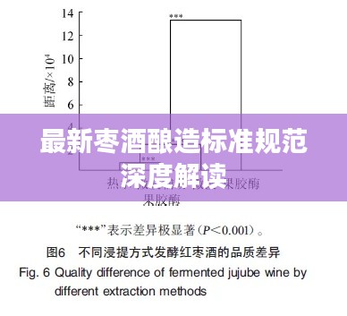 最新枣酒酿造标准规范深度解读