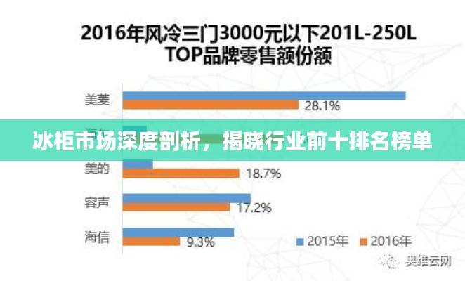 冰柜市场深度剖析，揭晓行业前十排名榜单