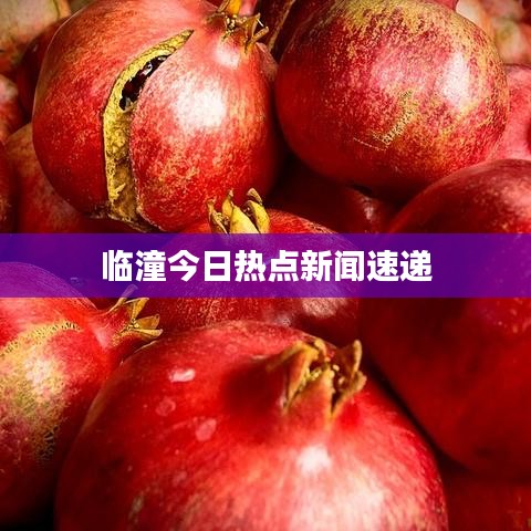临潼今日热点新闻速递