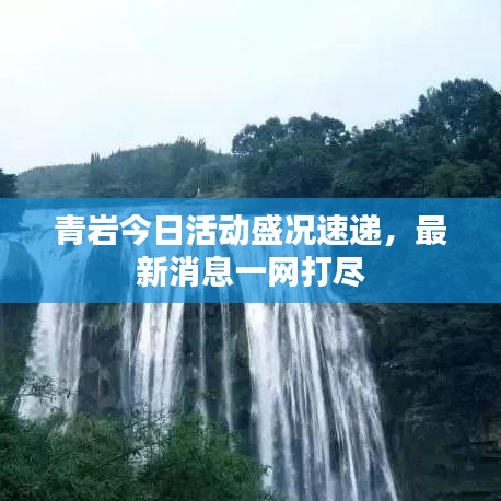 青岩今日活动盛况速递，最新消息一网打尽