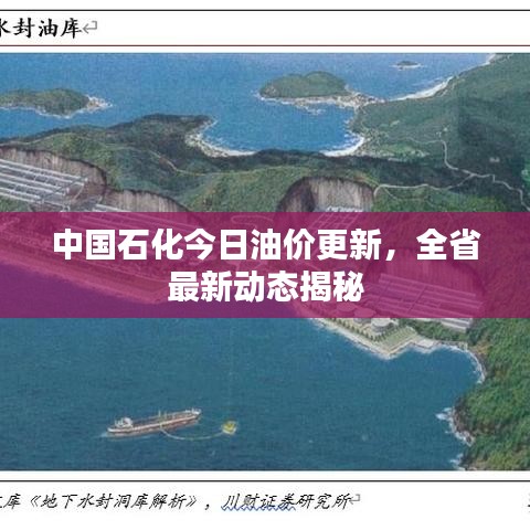 中国石化今日油价更新，全省最新动态揭秘