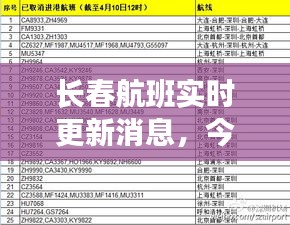 长春航班实时更新消息，今日最新动态揭秘！