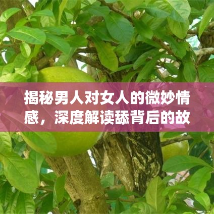 揭秘男人对女人的微妙情感，深度解读舔背后的故事