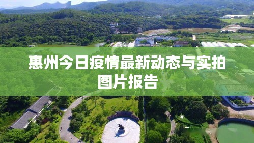 惠州今日疫情最新动态与实拍图片报告