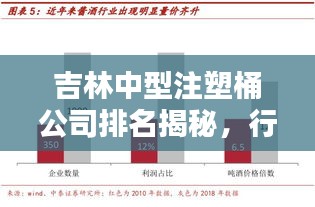 吉林中型注塑桶公司排名揭秘，行业深度分析
