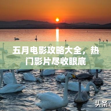 五月电影攻略大全，热门影片尽收眼底