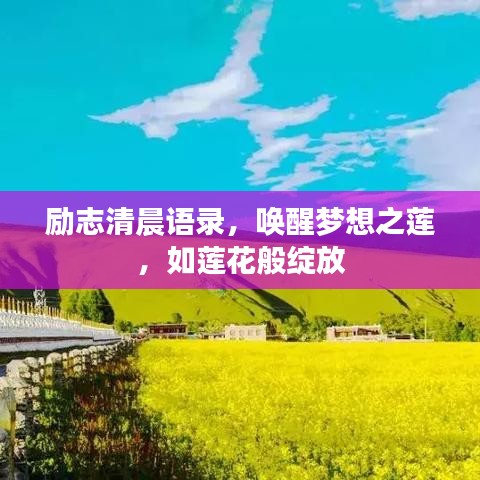 励志清晨语录，唤醒梦想之莲，如莲花般绽放
