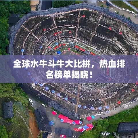 全球水牛斗牛大比拼，热血排名榜单揭晓！
