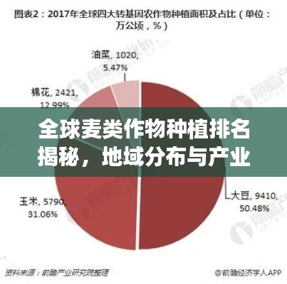 全球麦类作物种植排名揭秘，地域分布与产业格局探究