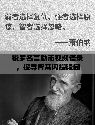 梭罗名言励志视频语录，探寻智慧闪耀瞬间