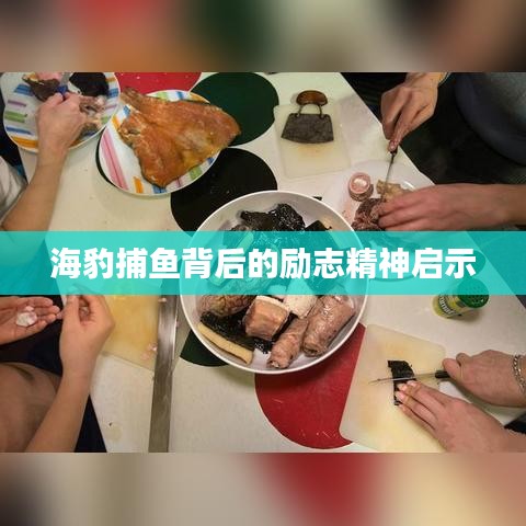 海豹捕鱼背后的励志精神启示