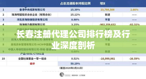 长春注册代理公司排行榜及行业深度剖析