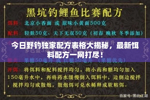 今日野钓独家配方表格大揭秘，最新饵料配方一网打尽！
