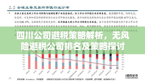 四川公司避税策略解析，无风险避税公司排名及策略探讨
