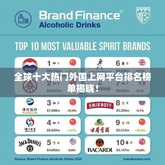 全球十大热门外国上网平台排名榜单揭晓！