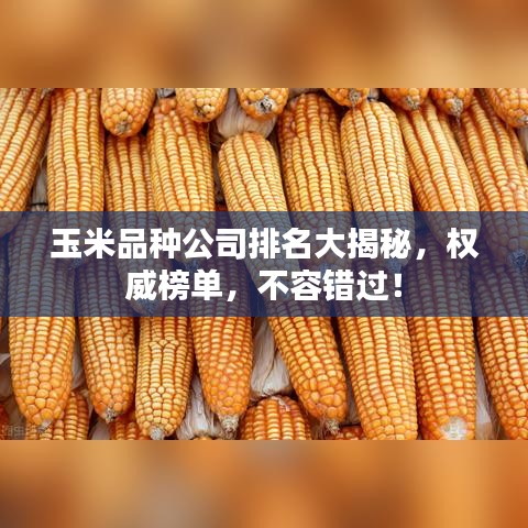 玉米品种公司排名大揭秘，权威榜单，不容错过！